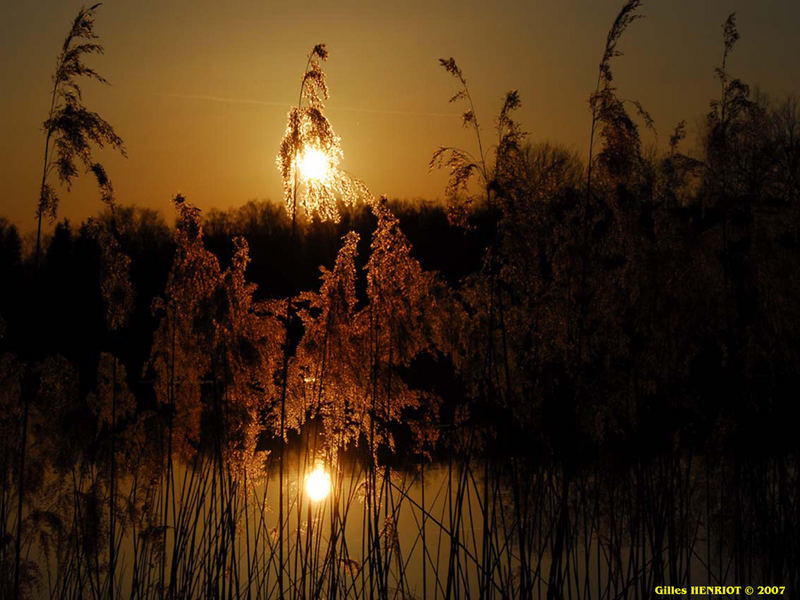 Coucher de soleil sur étang