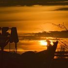 Coucher de soleil sur fête foraine