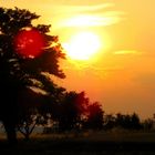 Coucher de soleil sur la campagne