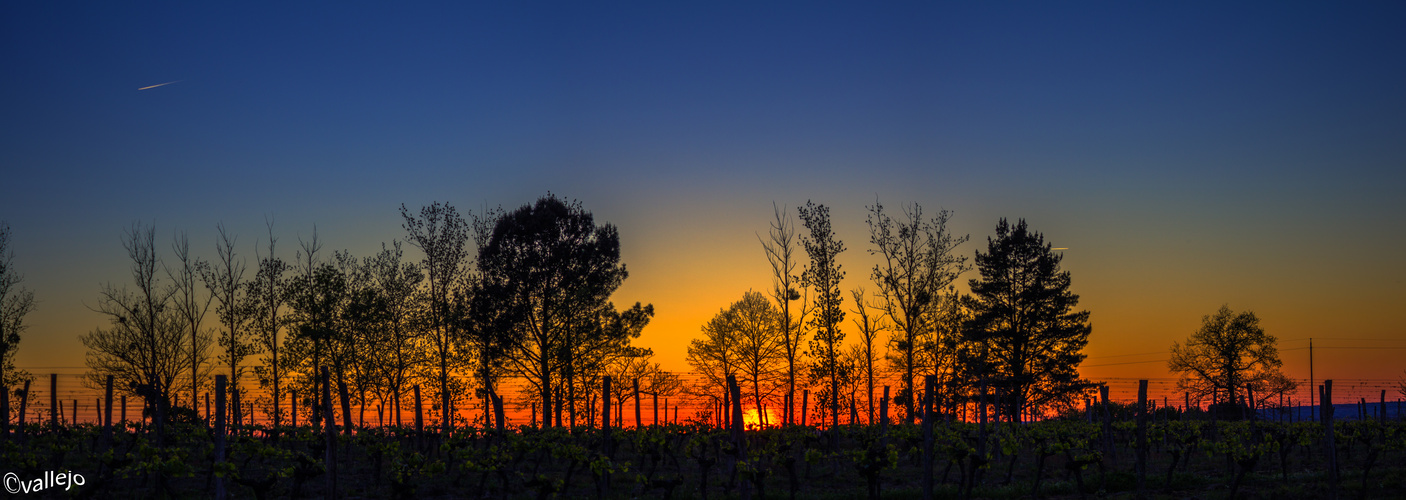 Coucher De Soleil Sur La Campagne De Bergerac Photo Et Image