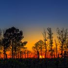 Coucher de Soleil sur la campagne de Bergerac