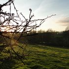 Coucher de soleil sur la campagne sarthoise