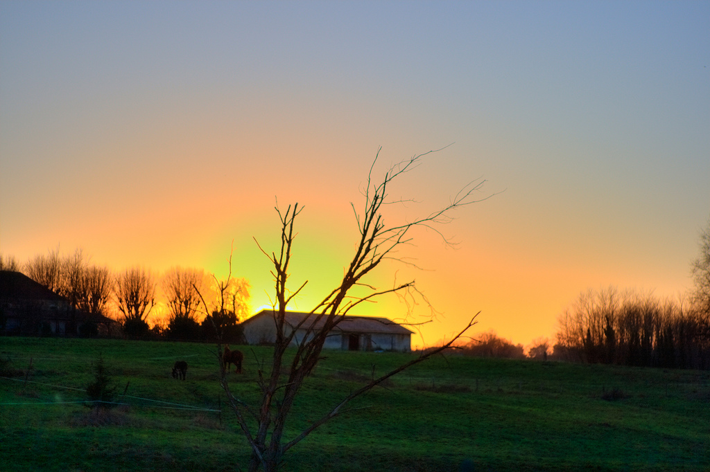 Coucher de soleil sur la ferme