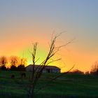 Coucher de soleil sur la ferme