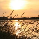 Coucher de soleil sur la Loire