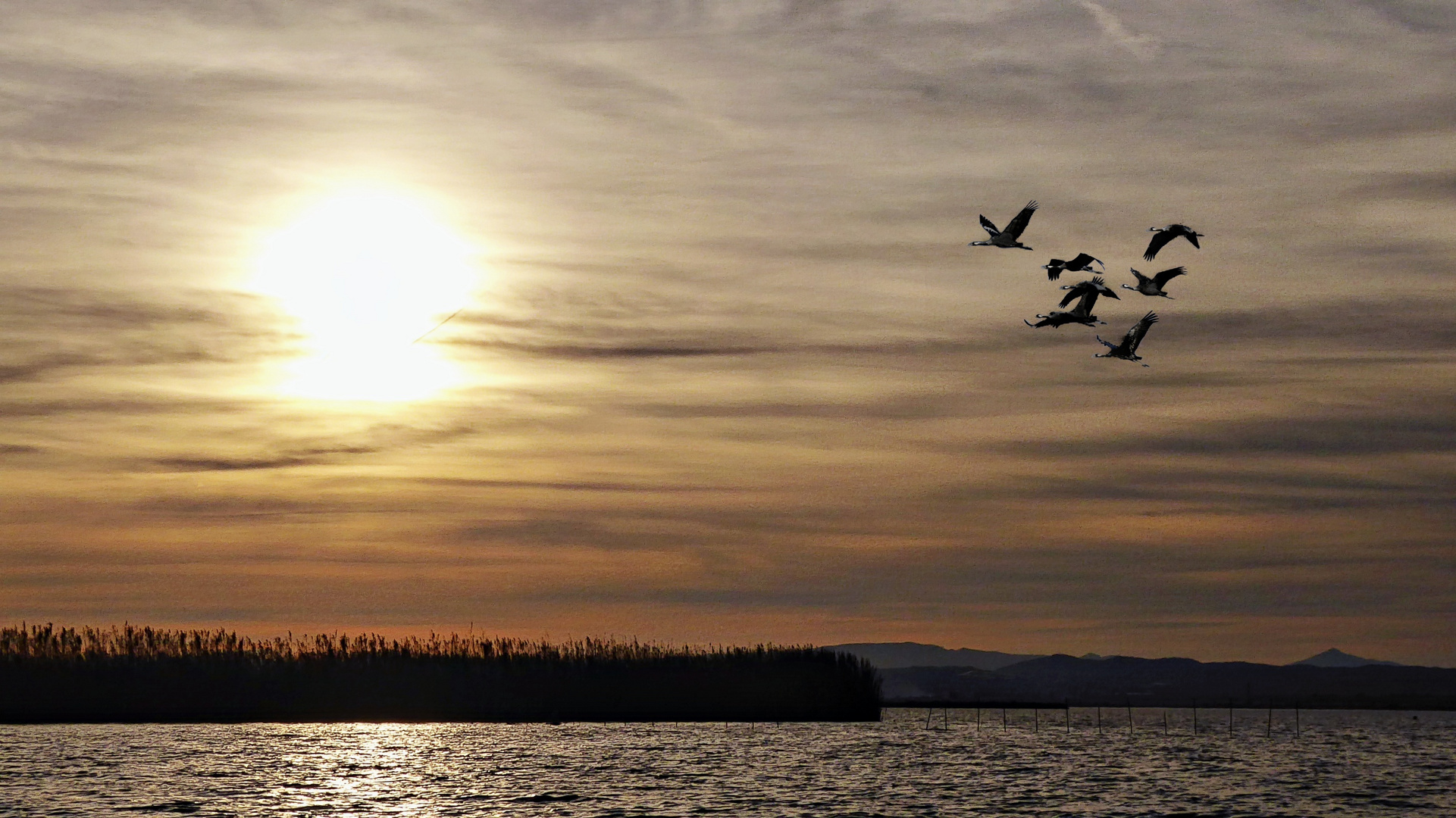 Coucher de soleil sur l'Albufera