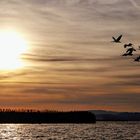 Coucher de soleil sur l'Albufera