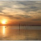 COUCHER DE SOLEIL SUR LE BASSIN D'ARCACHON