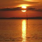 Coucher de soleil sur le Bassin d'Arcachon