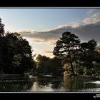 Coucher de soleil sur le bois de la Cambre