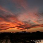 coucher de soleil sur le Kruger