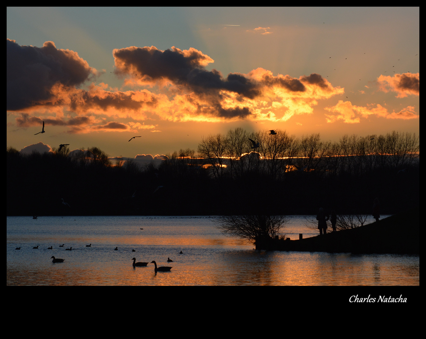 Coucher de soleil sur le lac du héron, Villeneuve d' Ascq.