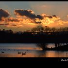 Coucher de soleil sur le lac du héron, Villeneuve d' Ascq.