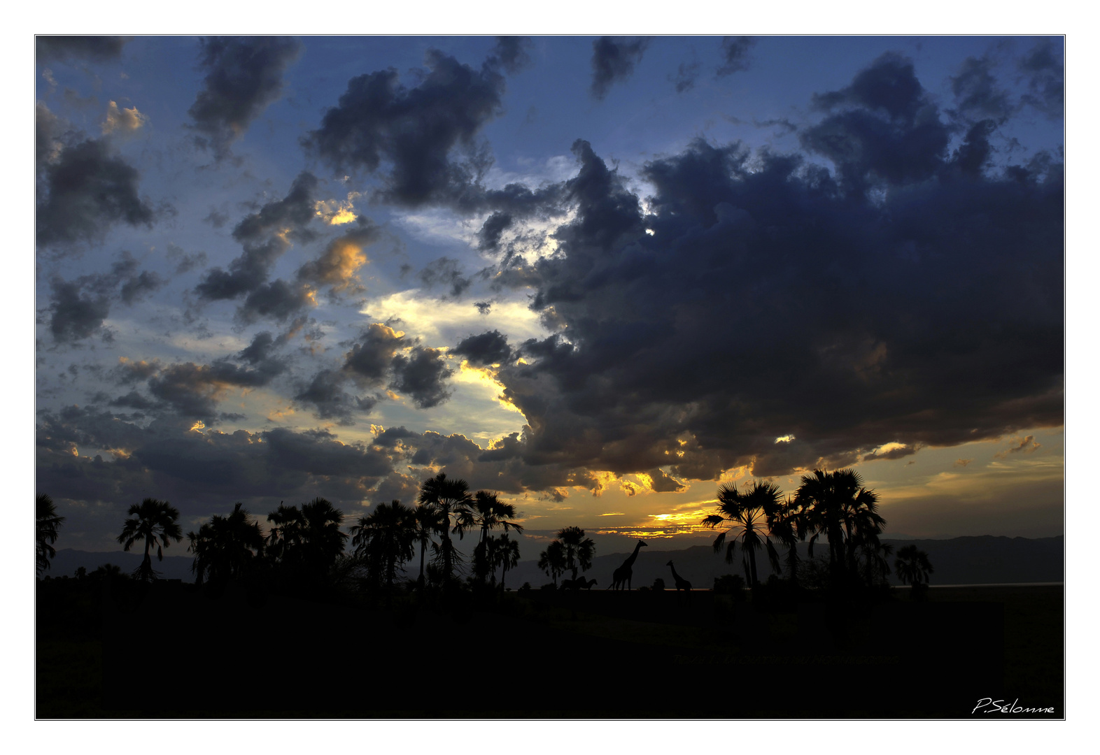 Coucher de soleil sur le lac Manyara