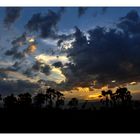 Coucher de soleil sur le lac Manyara