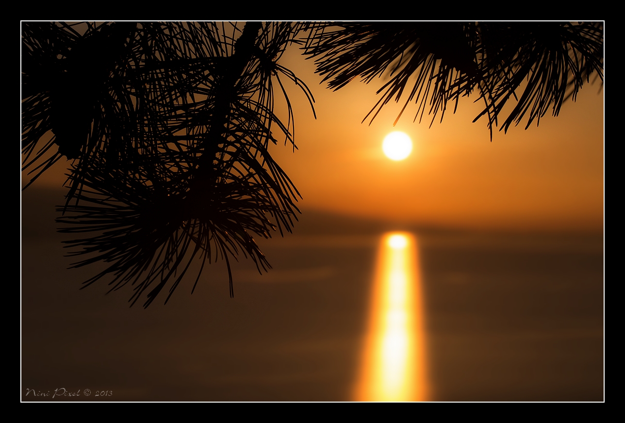 Coucher de Soleil sur le Léman ...