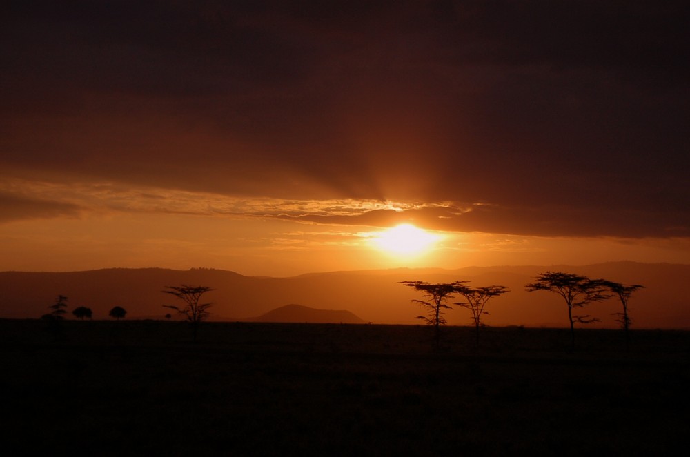 Coucher de soleil sur le Masai Mara