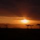 Coucher de soleil sur le Masai Mara