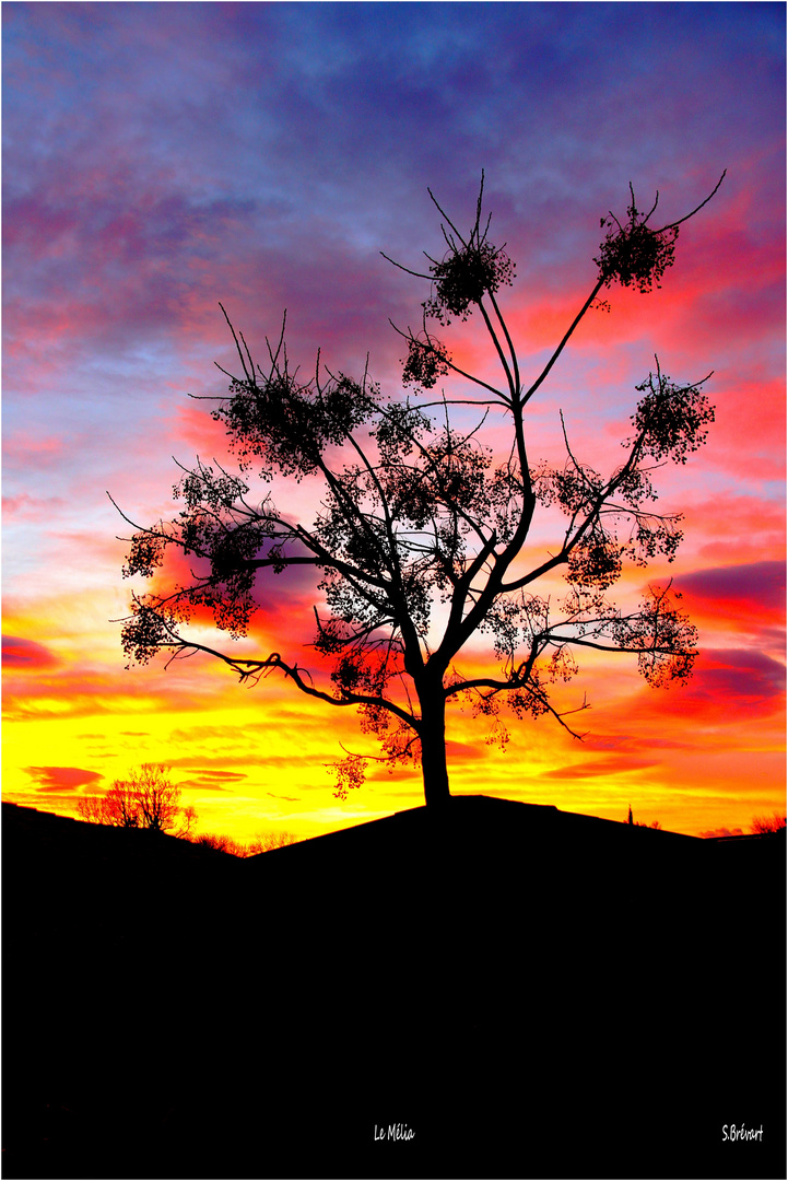 Coucher de soleil sur le Mélia 