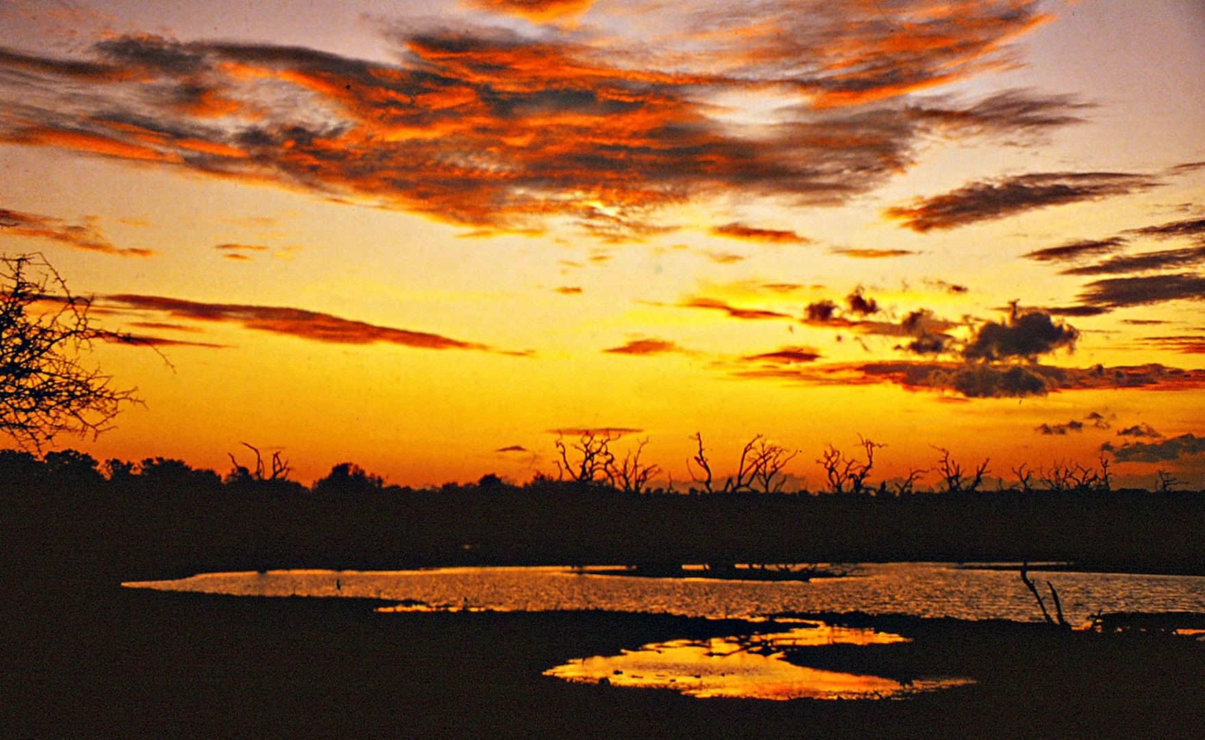 coucher de soleil sur le parc de Bundala