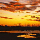 coucher de soleil sur le parc de Bundala