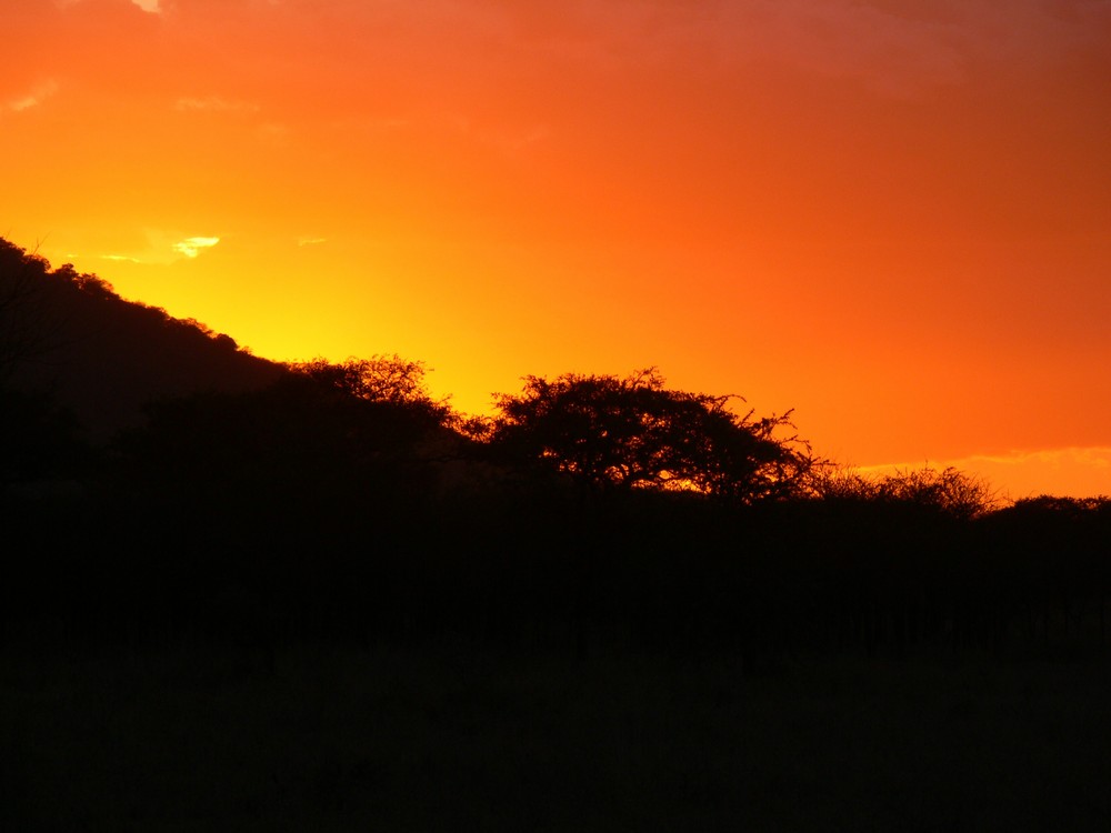 coucher de soleil sur le seringeti