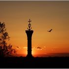 Coucher de soleil sur l'emblème de la Camargue