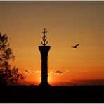 Coucher de soleil sur l'emblème de la Camargue