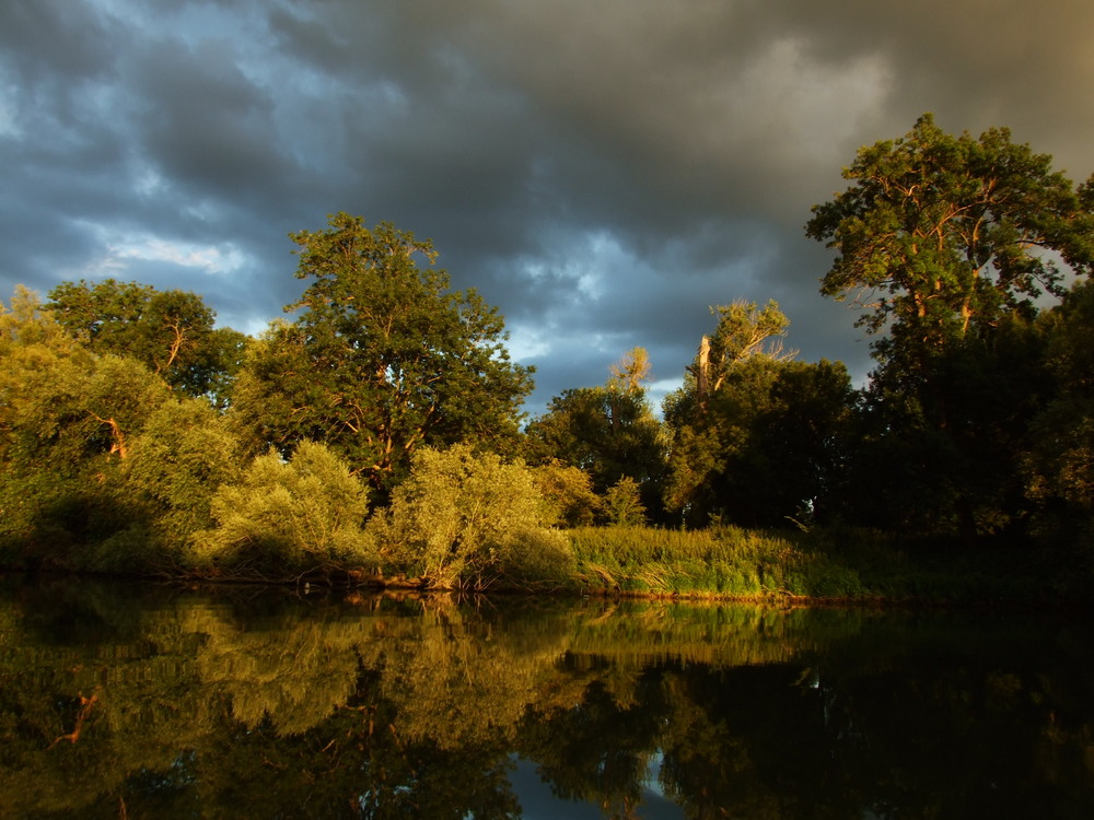 Coucher de soleil sur les bords de Seine à Muids (Eure)