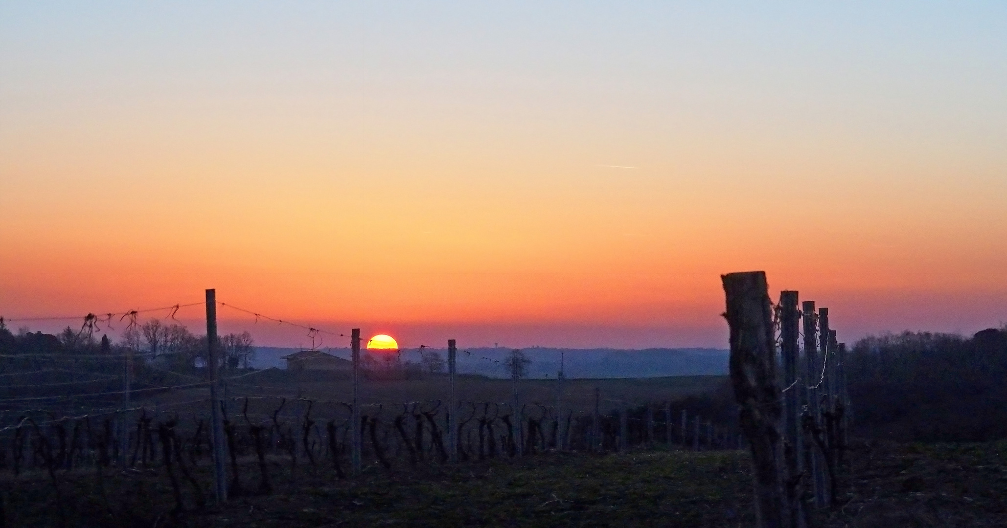 Coucher de soleil sur les vignes de la Ténarèze en hiver