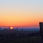 Coucher de soleil sur les vignes de la Ténarèze en hiver