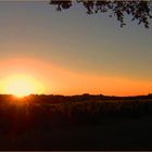 Coucher de soleil sur les vignes du Château de Mons (Armagnac, Ténarèze)