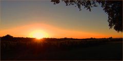 Coucher de soleil sur les vignes du Château de Mons (Armagnac, Ténarèze)