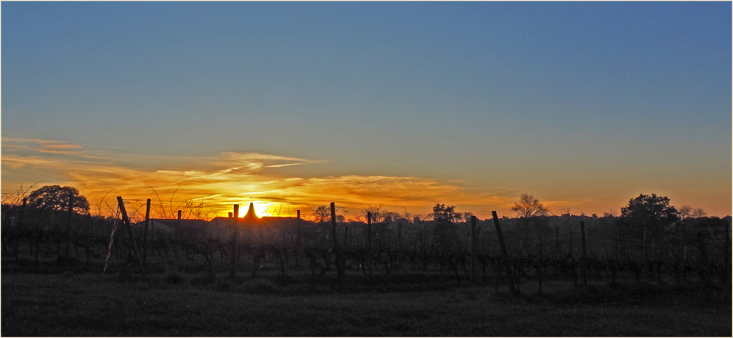 Coucher de soleil sur les vignes du Château de Mons (Caussens, Gers)