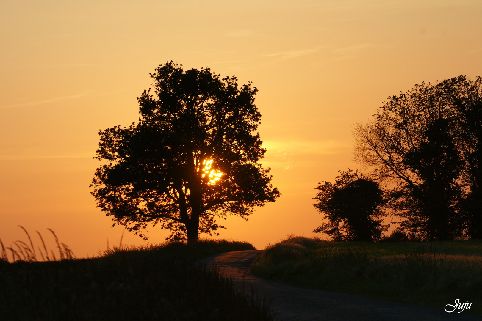 Coucher de soleil sur nos routes de campagne.