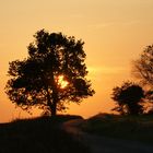 Coucher de soleil sur nos routes de campagne.