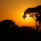 Coucher de soleil sur Toulon.(var,France)