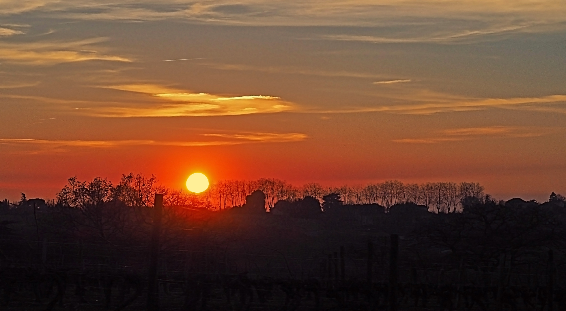 Coucher de soleil sur un vignoble de la Ténarèze