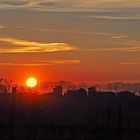 Coucher de soleil sur un vignoble de la Ténarèze