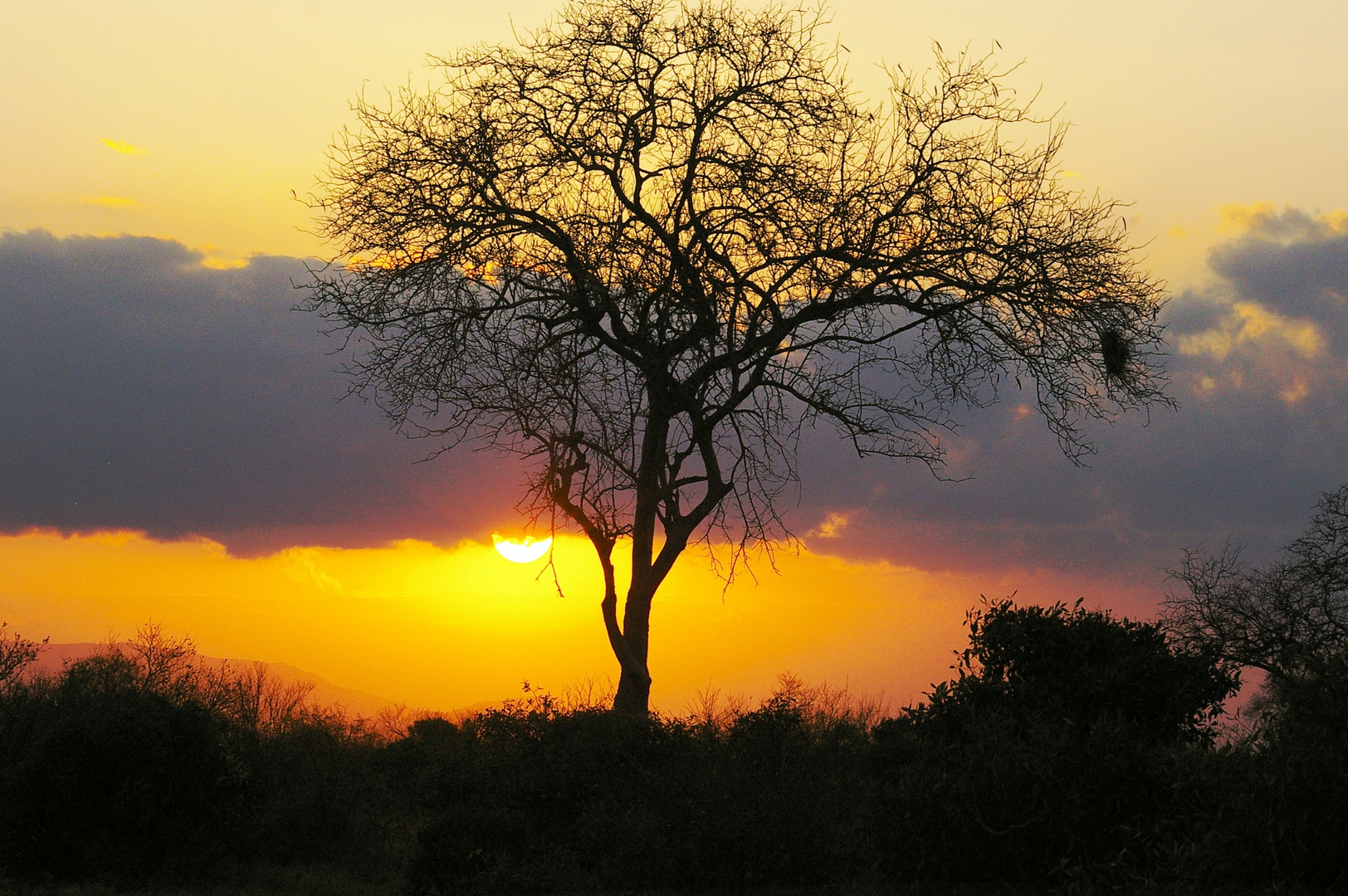Coucher de soleil, Tsavo Est, Kenya