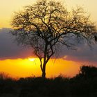 Coucher de soleil, Tsavo Est, Kenya
