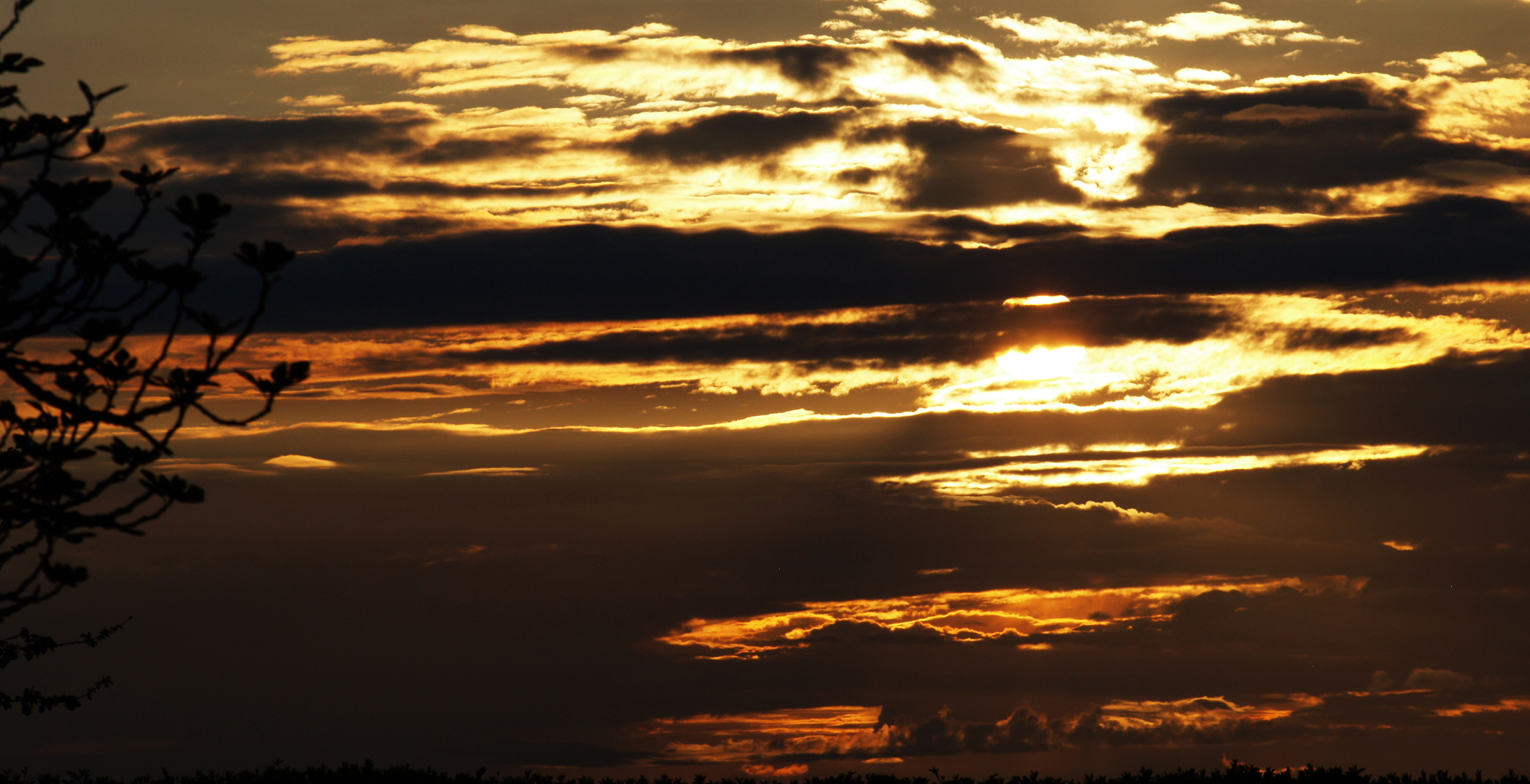 Coucher de soleil vu de mon jardin  -- Sonnenuntergang von meinem Garten aus.