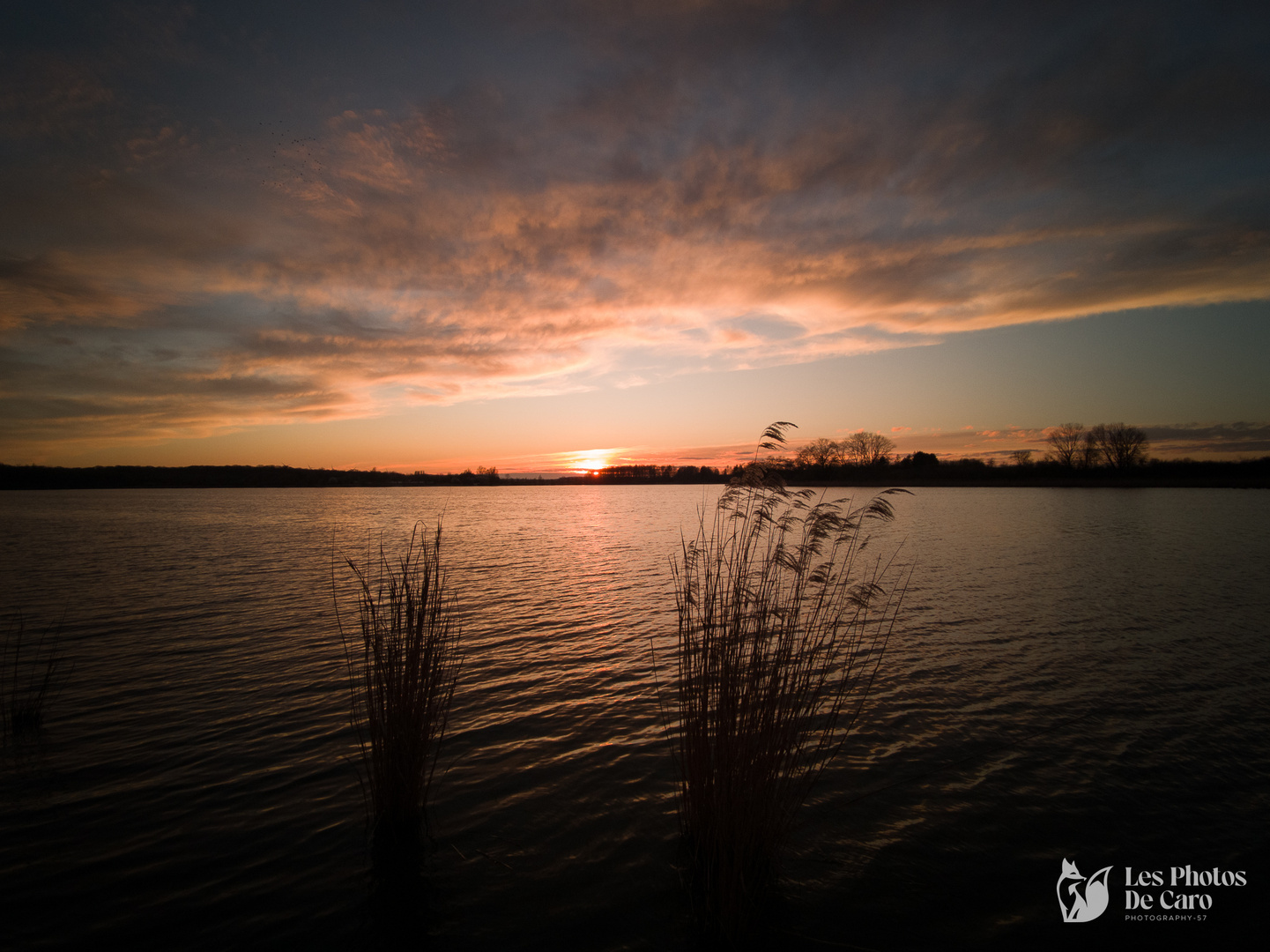 coucher du soleil 