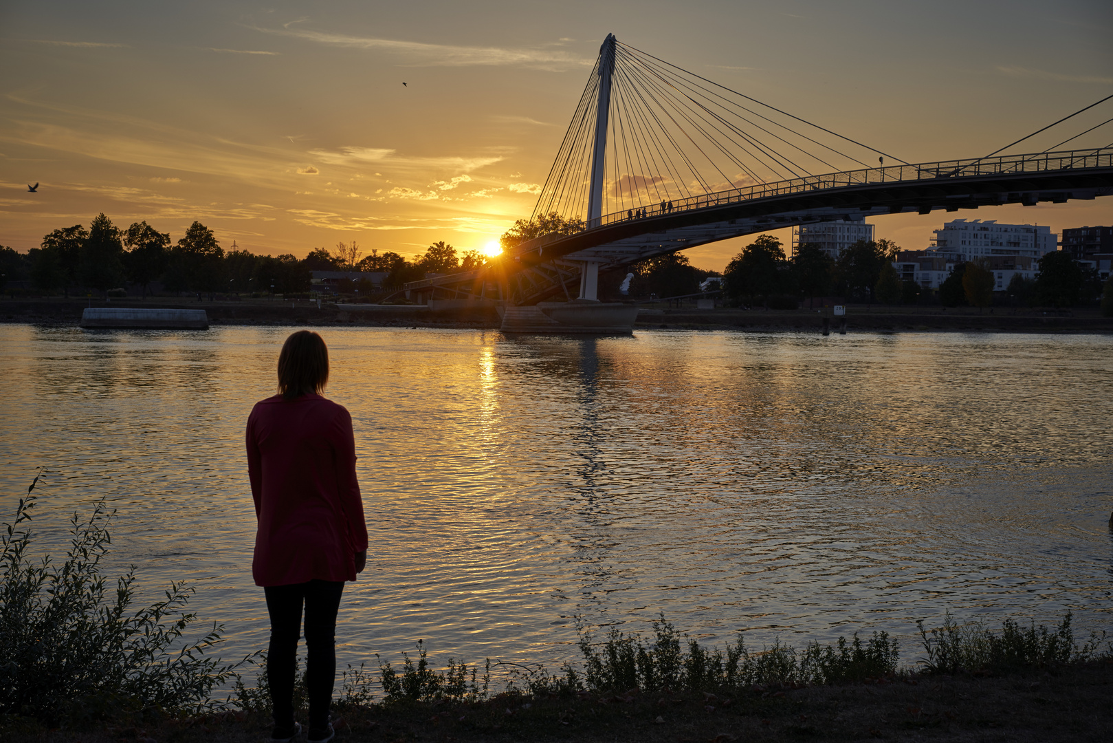 Coucher Du Soleil