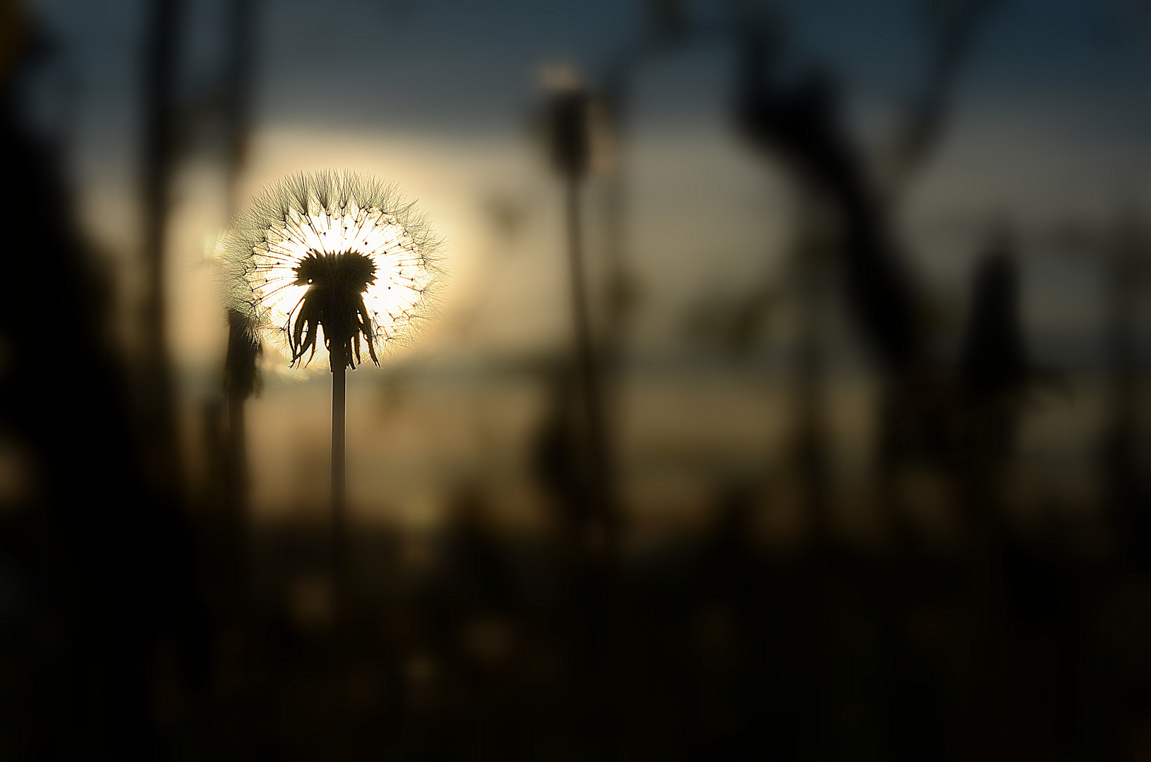 coucher du soleil