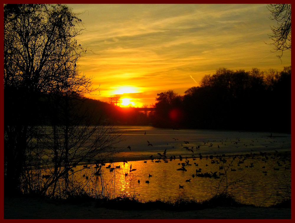 Coucher du soleil aux étangs de Comelles (95)