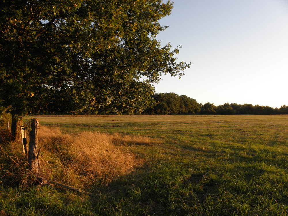 Coucher rasant