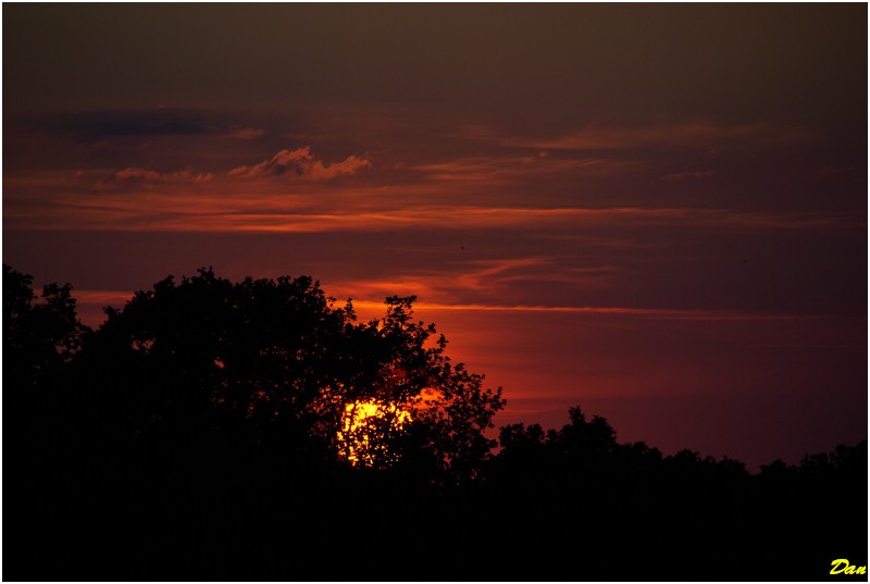 Coucher soleil dans la nature