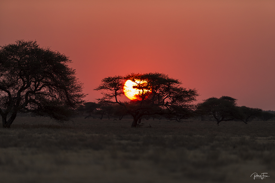 coucher soleil dans le bush