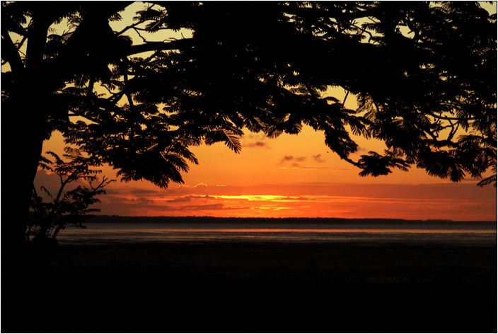 Coucher sous un arbre